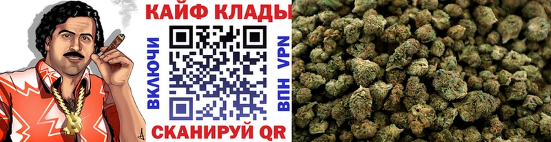 Где купить наркотики Мурманск COCAIN  МЕФ  АМФ  Марихуана  Codein  ГАШ  Галлюциногенные грибы 