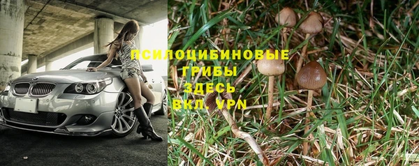 Альфа ПВП Баксан