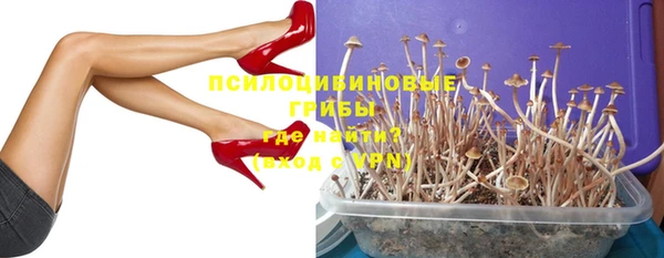 Альфа ПВП Баксан