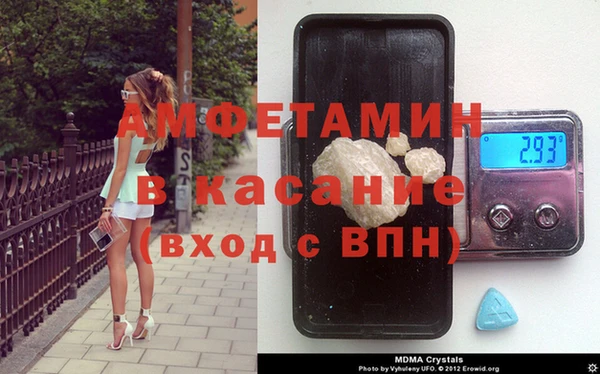 шишки Арсеньев