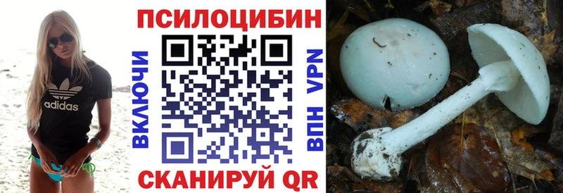 цены   Мурманск  Псилоцибиновые грибы Psilocybine cubensis 