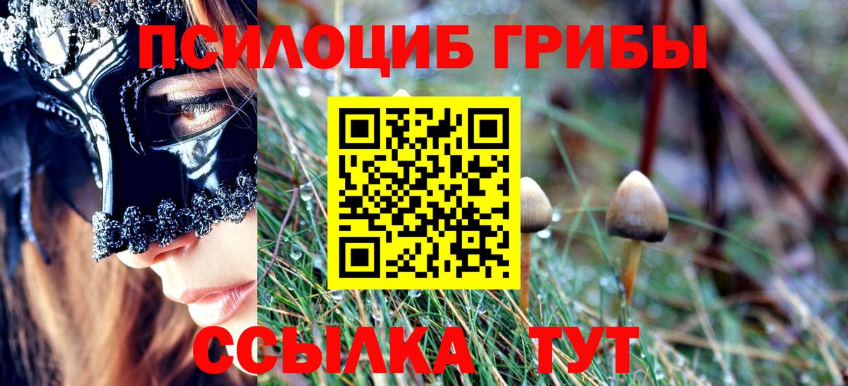 Мурманск  Галлюциногенные грибы GOLDEN TEACHER  хочу   Псилоцибиновые грибы ЛСД  Вход с VPN 